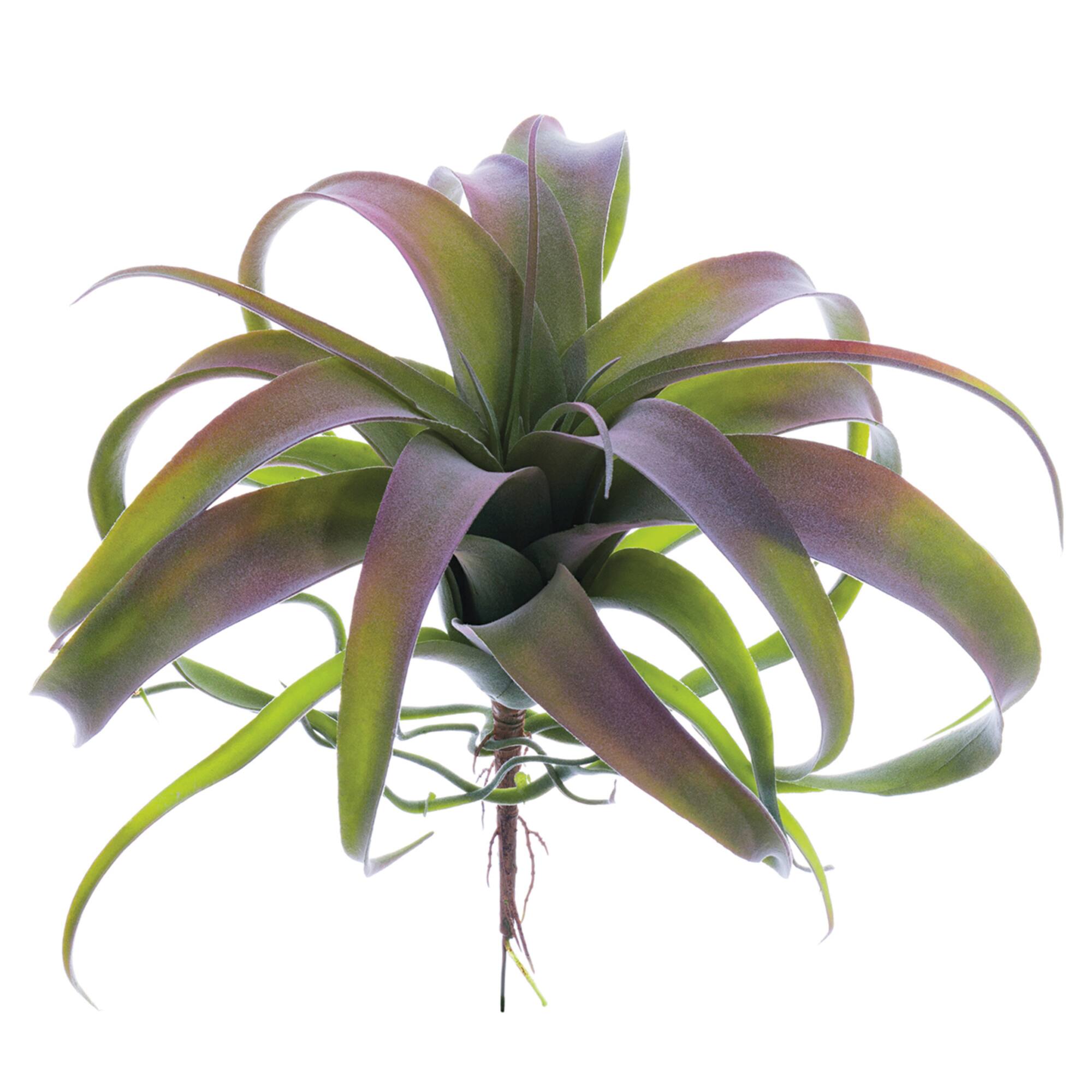 10.5" Tillandsia Pick, Green & Gray